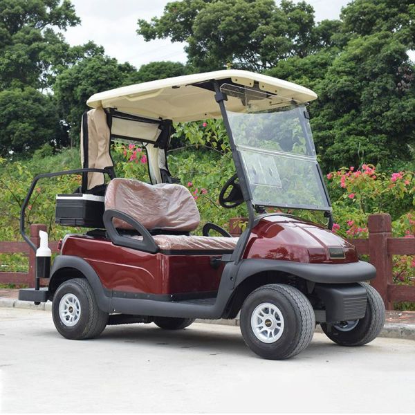 Innovative 2 Seaters Electric Golf Cart with Lithium Battery