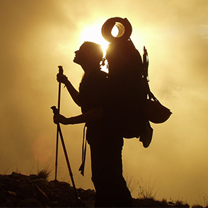 70l Camping Hiking Backpack Molle Rucksack Waterproof Travel Daypack