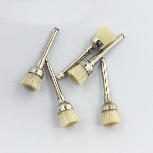 Preventative Dental Prophy Brush Bristle White Color Hard Bowl Cup Shape Latch