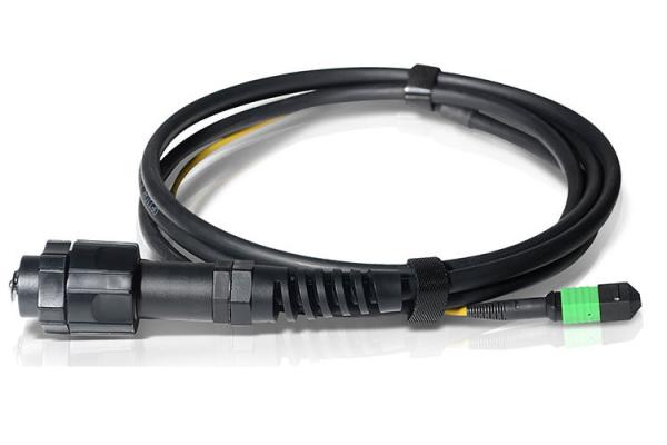 Waterproof ODVA SM MM MPO MTP Cable 8F 12F 24F MPO Fiber Optic Cable Assemblies