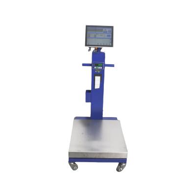 ITS Series Platform Scale Stable Reading Commercial Daily Weighing Scenarios