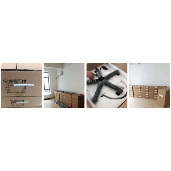 50000h Examination Lamp Mobile Gynecological Surgical LED Light 5W 10W 15W