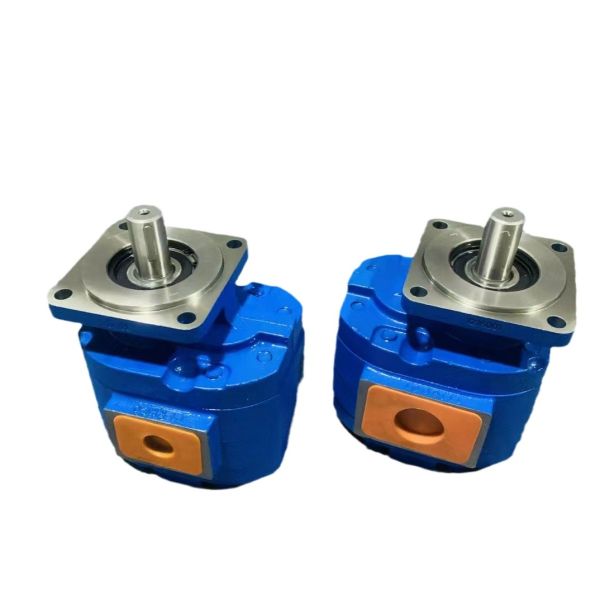 Gear oil pump Gear pumpP5100-F100NP3676/P124-G16Y03G P5100-F100NP3676/P124-G16Y18G P5100-F100NP3676/P124-G25G P5100-F100NP3676G factory