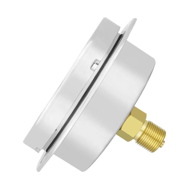 100mm Diaphragm Type 304ss Stainless Steel Back Capsule Pressure Gauge with Flange