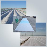 D'agriculture protection des plantes traitée aux UV blanche de Spunbond Frost de textile tissé non