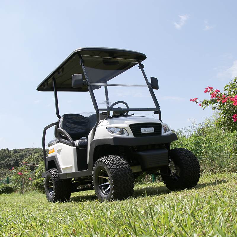 EXCAR Electric Hunting Buggy With Trojan Battery/Curtis Controller