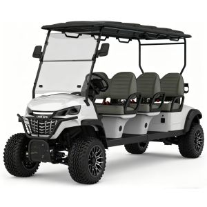 LAKER 6 Seats Electric Golf Cart with 5KW High Chassis Double Wishbone