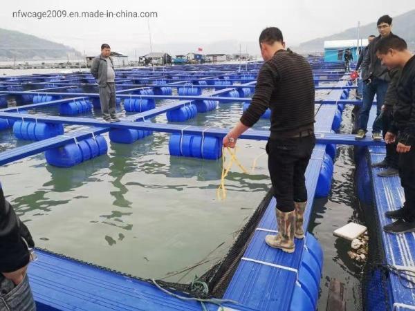 Square Pontoon Floating Fish Cage Diameter 10m To 60m Customized For Aquaculture Fish Farming