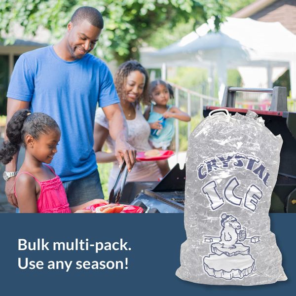 Пластиковый морозильный кубик Пластиковый пакет на заказ Прочный многоразовый товарный пакет 10 фунтов