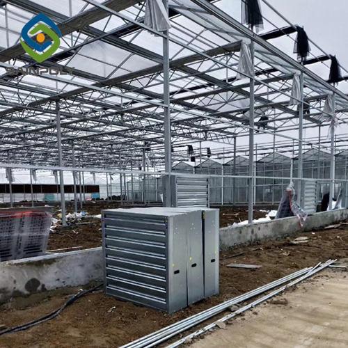 Exhibition Multi Span Greenhouse , Glass Green Houses Hanging Load 0.15KN/M2