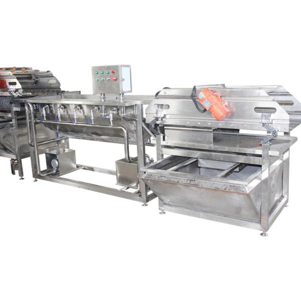 Máquina de lavar cebolas em pedaços 2000 kg/h