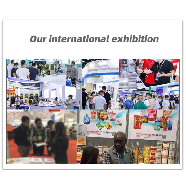 High Quality Food Packaging Bags For Snack And Cookie Custom Printed With View Window