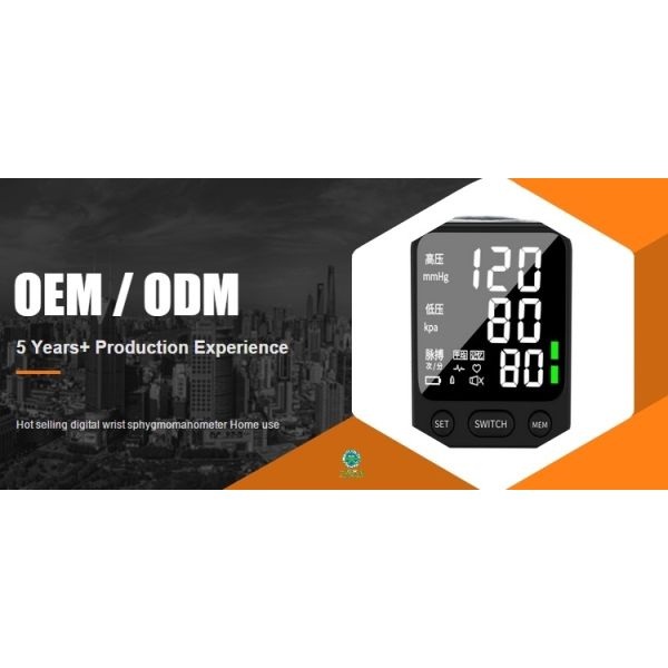 User-Friendly Plug-in Electronic Sphygmomanometer for Convenient Blood Pressure Check