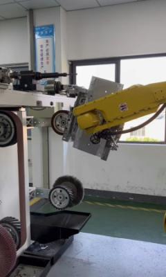 Sistema robótico automático personalizável de debutação de braço robótico