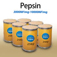 Protein Pepsin Enzyme Food 10000NF/Mg Light Yellow Pepsin Powder