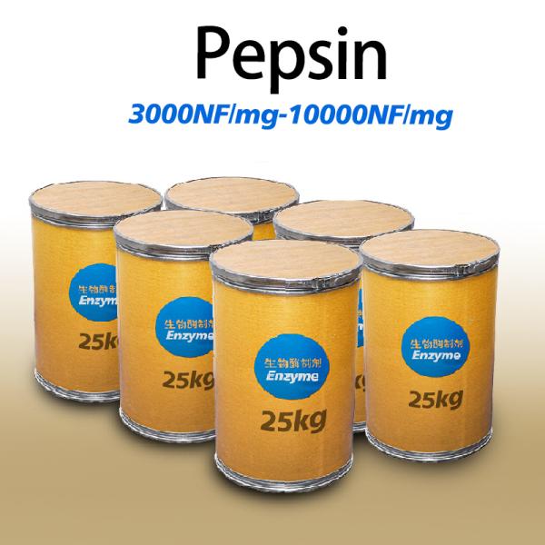 Protein Pepsin Enzyme Food 10000NF/Mg Light Yellow Pepsin Powder