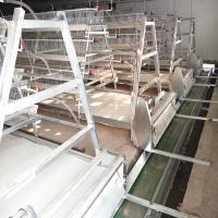 sistema de 10-12m/Min Belt Poultry Manure Removal silencioso para a exploração agrícola de galinha
