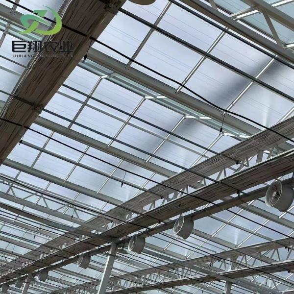 Juxiang Hidropónico Filtro de Estufa Espessura 120/150/180/200microns Eaves Altura 3m-8m