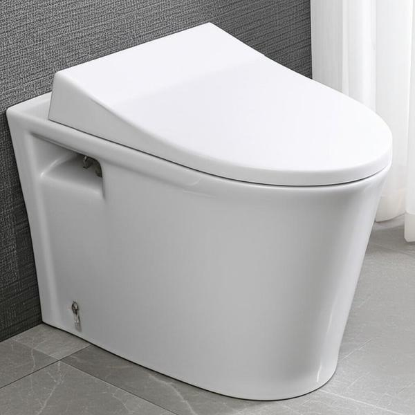 Toilet WC siphonique de luxe pour salle de bain, sanitaire de luxe, WC monobloc