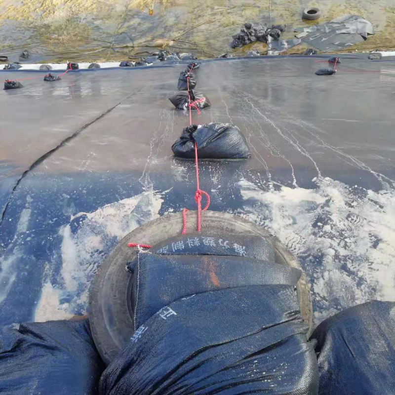 Mining Tailings Pond Hdpe Geomembrane Sheets Environmental Geomembrane Fabric