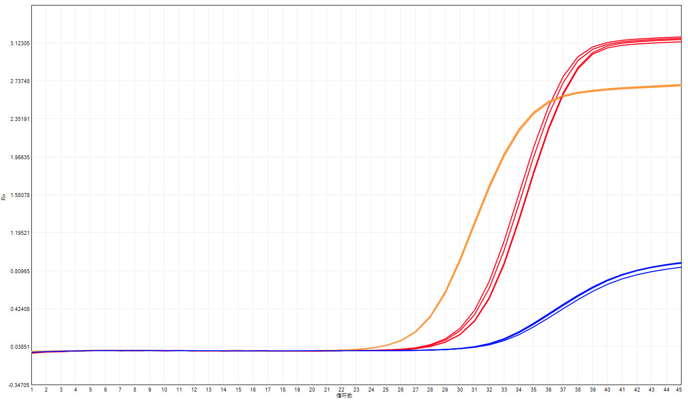 HS Probe qPCR Mix для ПЦР ДНК в реальном времени