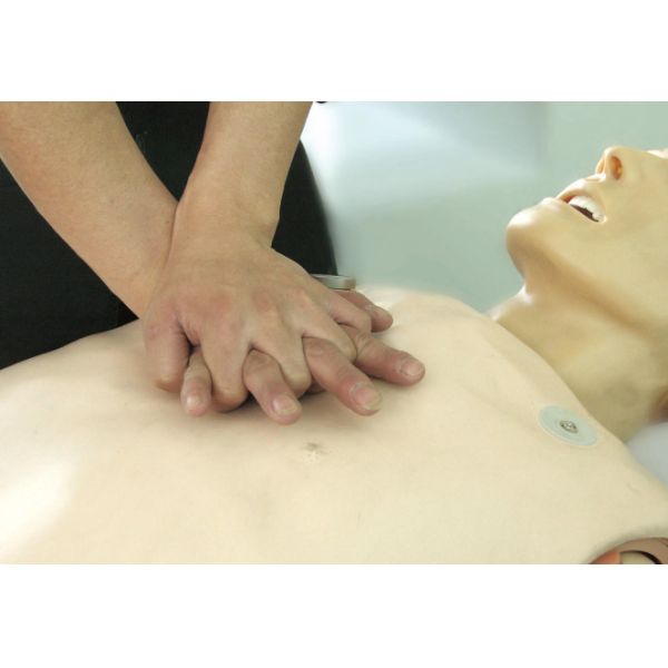 Approved PVC First Aid Manikins with Transfusion Set for Hospitals Medical Schools