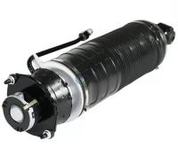 Amortecedor Hydropneumatic do RH ABC do LH da parte traseira R230 para a classe 2303200013 de Mercedes SL