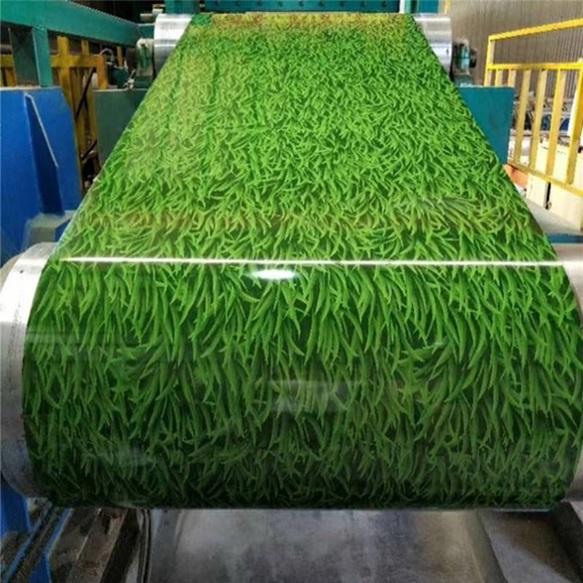 Coil d'acier Ppgi imprimé sur mesure avec des motifs spéciaux