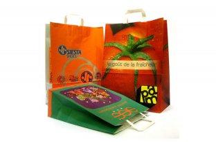 Color printed paper carrying bag 02
