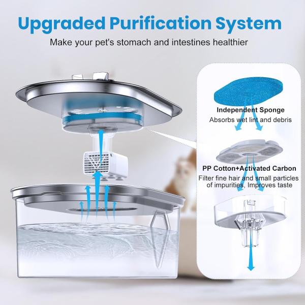 Pet Water Fountain with Advanced Filtration System | Ensure Clean and Healthy Hydration