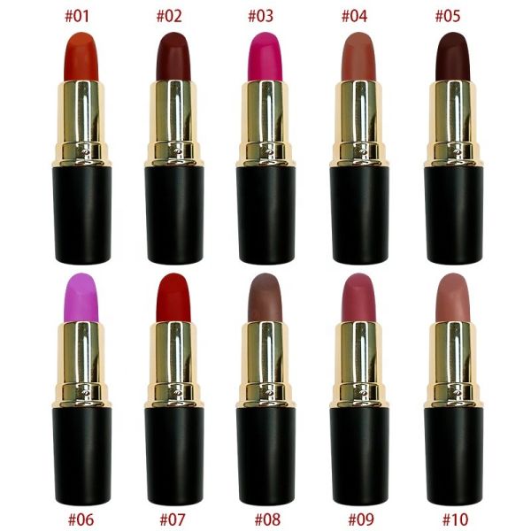 OEM Private Label Waterproof Moisture Lipstick 2.5g 24hrs Long Lasting Lipstick
