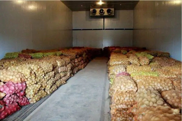 Коммерческая прогулка в холодильнике холодильник морозильник овощная медицина