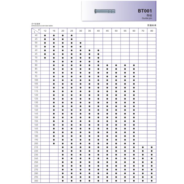 SKD11 Column BT001 Guide Pin Injection Mould Plastic Injection Mould Parts