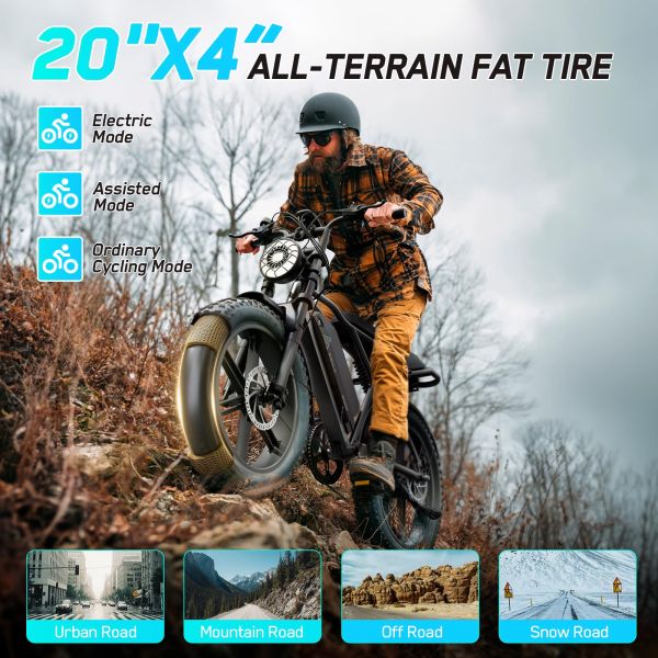 CE UL Certified UK Stock R002 48V 15A Lithium All Terrain Fat Tire E-Bike Dual Suspension Electric Mountain Bike Rear Hub Motor