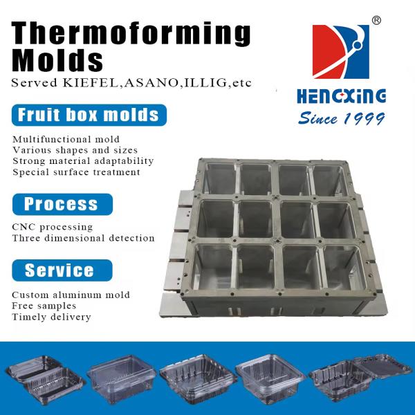Frutas Molde de caja Molde termoformado Molde de aluminio Embalaje de precisión