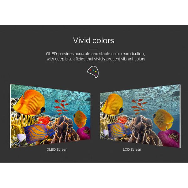 30 Inch Transparent OLED Panel 4K Clear OLED Display For Interactive Menus