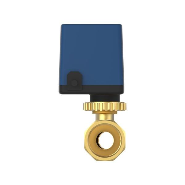 IP55 Brass Motorized Ball Valve / 2Way , 3Way Electric Operated Ball Valve