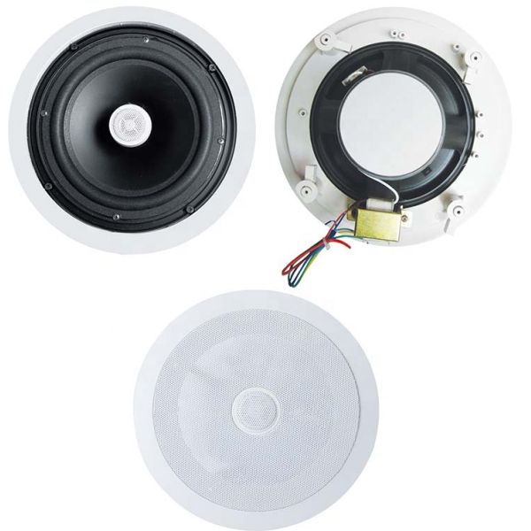 5 Inch Coaxial Speaker 20W Economic Ceiling Speaker Flush Mount