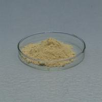 Food Grade & Feed Grade Glucose Oxidase Powder Like Baking Enzymes