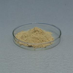 Food Grade & Feed Grade Glucose Oxidase Powder Like Baking Enzymes