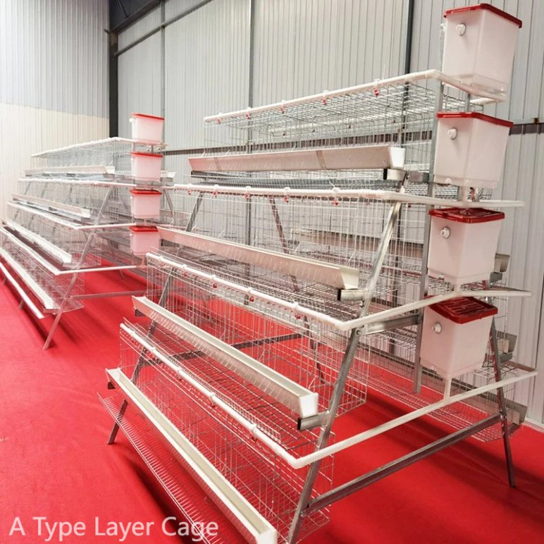 Poultry Farm Chicken Coop House A Type Hot Dipped Galvanized Layer Cage