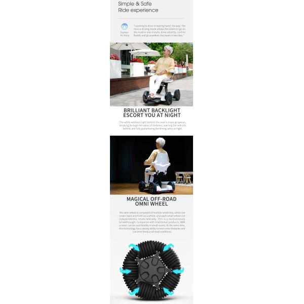 Aluminum Alloy Remote Control Electric Wheelchair Lithium Battery Lift Standing For Elderly