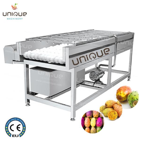 Máquina de limpeza de limpeza de frutas de pêra de 2021 com aço inox 304