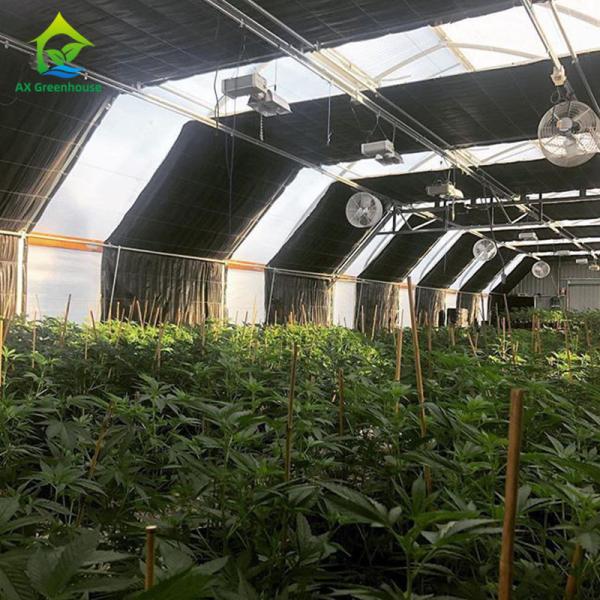 Mushroom Growing Blackout Light Deprivation Greenhouse Agricultural Green House