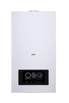 LPG Gas Water Heater  Natural Exhaust With Digital Control