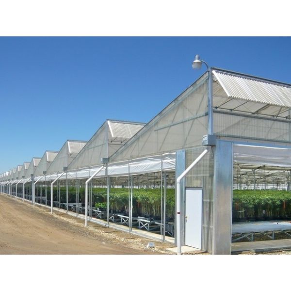 Multi Span Plastic Film Greenhouse 10X30m With Zinc Coating Frame