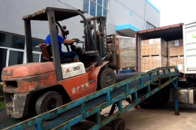 плоской головки ногтей длины 50mm общее хвостовика извива свободной кольцевое