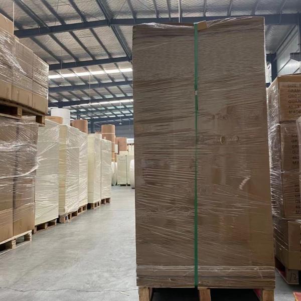 Polpa de madeira do Virgin 800mm liso biodegradável do grama 100 da folha 230 do copo de papel