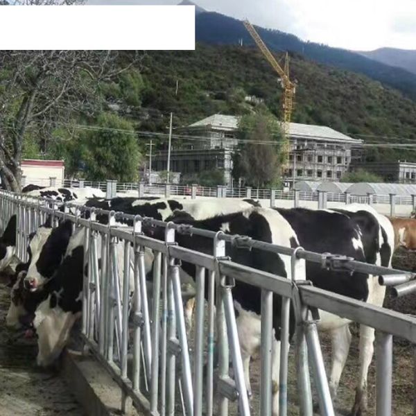 Специализированное оборудование для кормления птицы и скота из фермы из нержавеющей стали