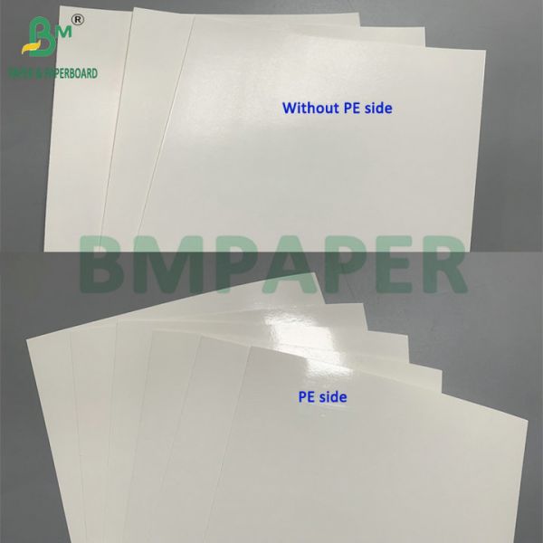 260gsm + 15gsm PE Coated SBS Cardboard For Frozen Shrimp Food Packaging Box 260gsm + 15gsm PE Coated SBS Cardboard For Frozen Shrimp Food Packaging Box